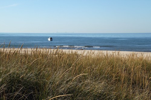 A serene beach scene with tall grass in the foreground and a boat on calm waters, with a distant city skyline.