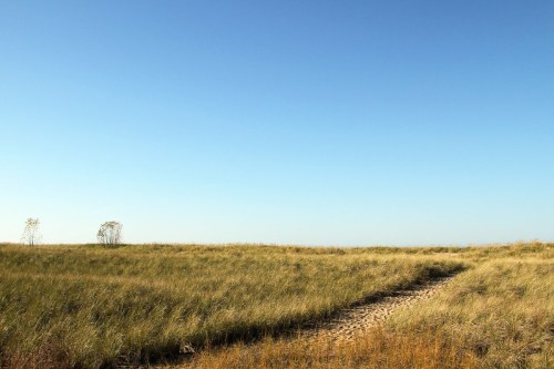 A serene landscape featuring a grassy field under a clear blue sky, with a sandy path winding through the grass.
