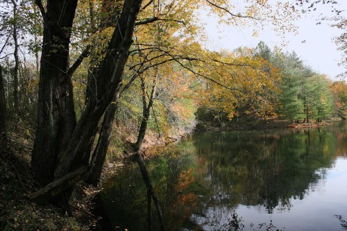 A serene river scene with autumn trees reflecting in the calm water, surrounded by lush greenery.