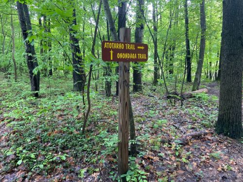 Wooden trail sign in a lush green forest, pointing to Atotarho Trail and Onondaga Trail.