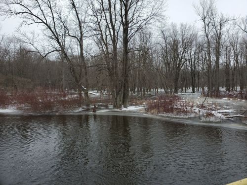 A serene winter scene featuring a partially frozen river surrounded by bare trees and shrubs.