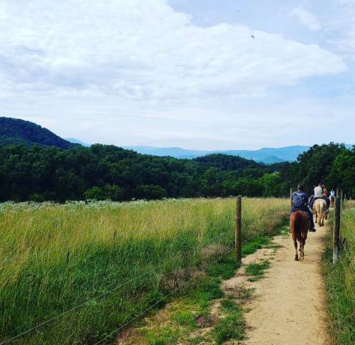 A scenic trail with two people riding horses, surrounded by lush green hills and a cloudy sky.