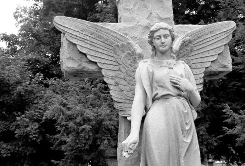 A stone angel statue with wings stands beside a cross, surrounded by trees in a black and white setting.
