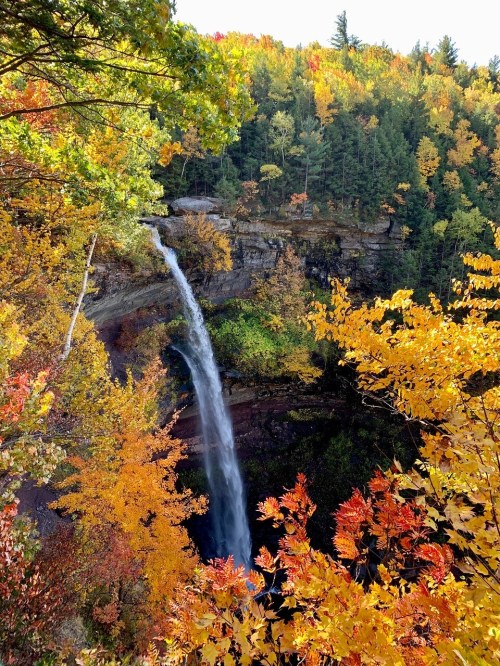 A stunning waterfall cascades down a rocky cliff, surrounded by vibrant autumn foliage in shades of orange and yellow.
