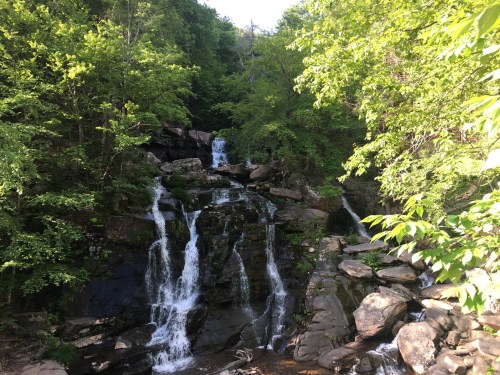 A serene waterfall cascading over rocks, surrounded by lush green trees and foliage.