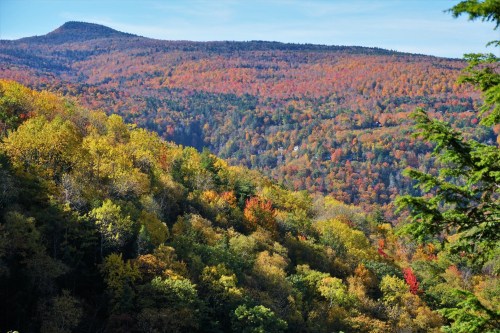 Vibrant autumn foliage covers rolling hills, showcasing a mix of green, yellow, orange, and red leaves under a clear sky.