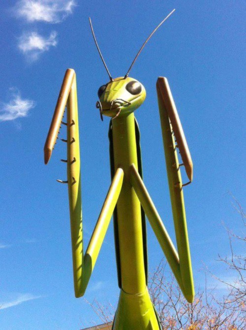 A large, green metal sculpture of a praying mantis against a blue sky with a few clouds.