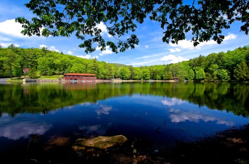 A serene lake surrounded by lush green trees and a blue sky, reflecting clouds and a nearby cabin.