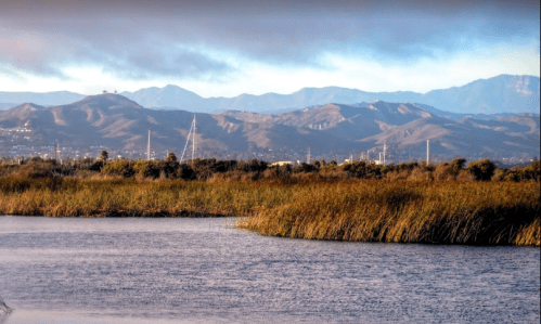 A serene landscape featuring a calm waterway, lush reeds, and distant mountains under a cloudy sky.