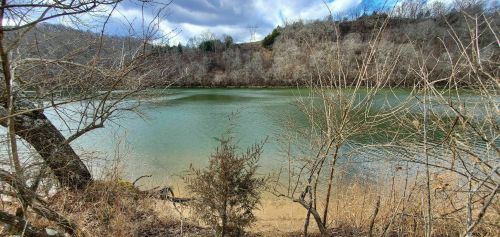 A serene river scene surrounded by bare trees and shrubs, with cloudy skies above and a calm water surface.