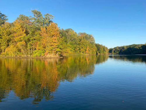 A serene lake surrounded by trees displaying vibrant autumn colors under a clear blue sky.
