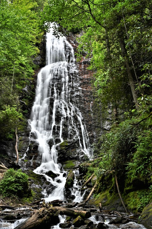 A cascading waterfall surrounded by lush green trees and mossy rocks, creating a serene natural scene.