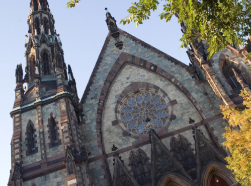 Gothic-style church facade with intricate stonework and a large rose window, framed by green leaves and a clear blue sky.