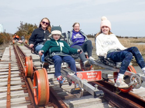 Four people ride on a rail bike along wooden tracks in a scenic outdoor setting, enjoying a sunny day.