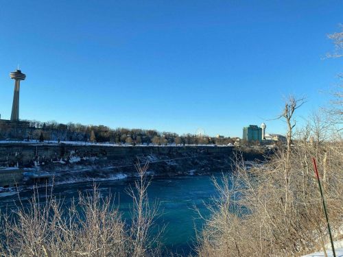 A scenic view of Niagara Falls with a clear blue sky, trees, and buildings along the riverbank.