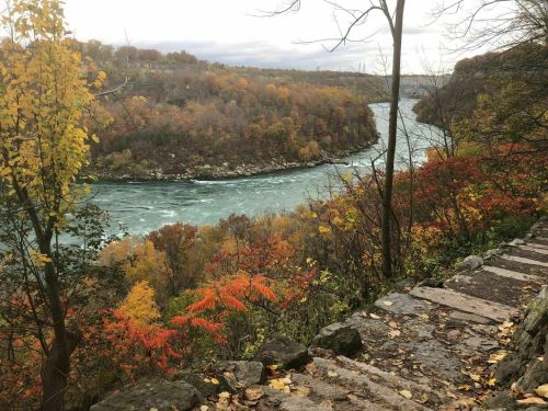 A winding river flows through a colorful autumn landscape with trees in shades of orange, yellow, and red.