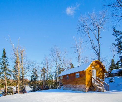 A cozy wooden cabin surrounded by snow-covered trees under a clear blue sky.