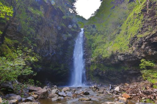 A serene waterfall cascades down rocky cliffs, surrounded by lush greenery and a tranquil riverbed.