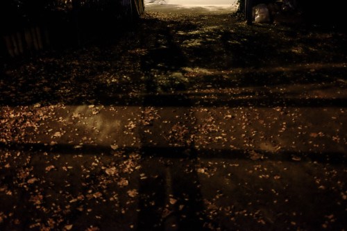 A dimly lit path covered in fallen leaves, with long shadows cast across the ground.