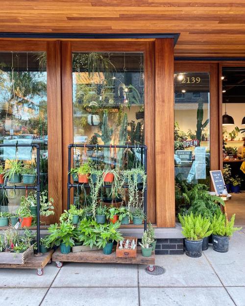 A storefront with wooden accents, featuring potted plants outside and an "OPEN" sign in the window.