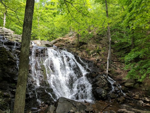 A serene waterfall cascading over rocks, surrounded by lush green trees in a peaceful forest setting.