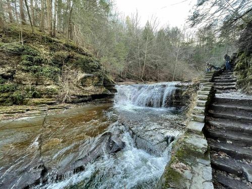 A serene waterfall cascades over rocks, with a forested hillside and stone steps leading up beside it.