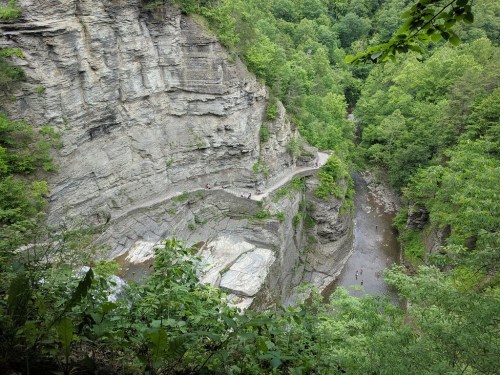 Aerial view of a rocky gorge with a winding path and a river surrounded by lush green trees.