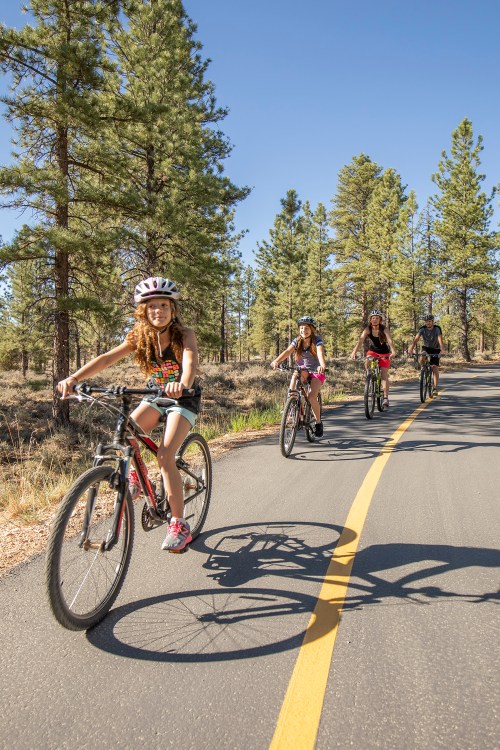Four girls ride bicycles along a sunny path surrounded by tall pine trees.