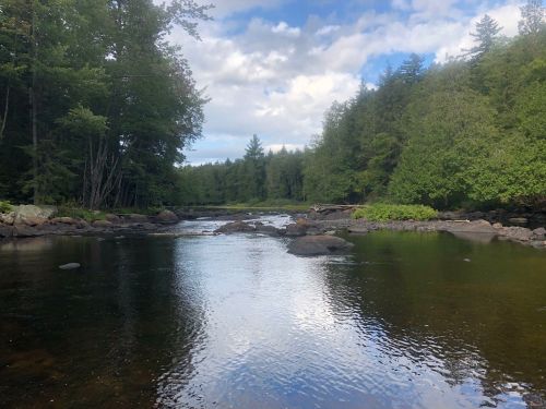 A serene river scene surrounded by lush green trees and rocky banks under a partly cloudy sky.