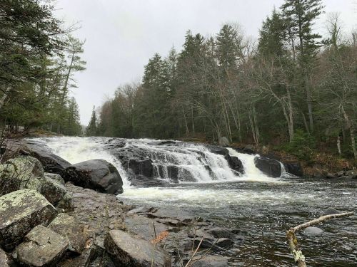 A serene waterfall cascades over rocks, surrounded by trees in a misty, overcast setting.