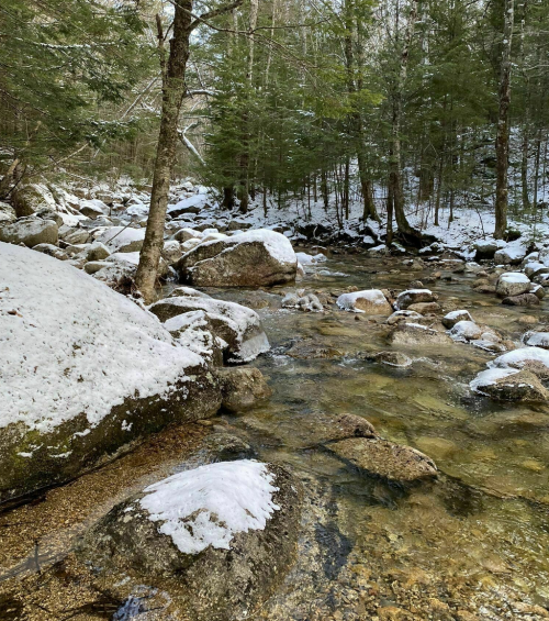 A serene stream flows through a snowy landscape, surrounded by trees and rocky banks.