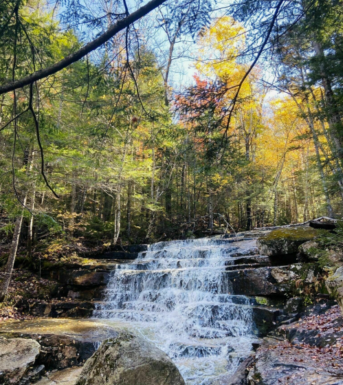 A serene waterfall cascades over rocks, surrounded by vibrant autumn foliage and tall trees in a peaceful forest setting.