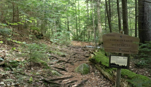 A wooded trail with a sign marking the entrance to Sandwich Range Wilderness in White Mountain National Forest.