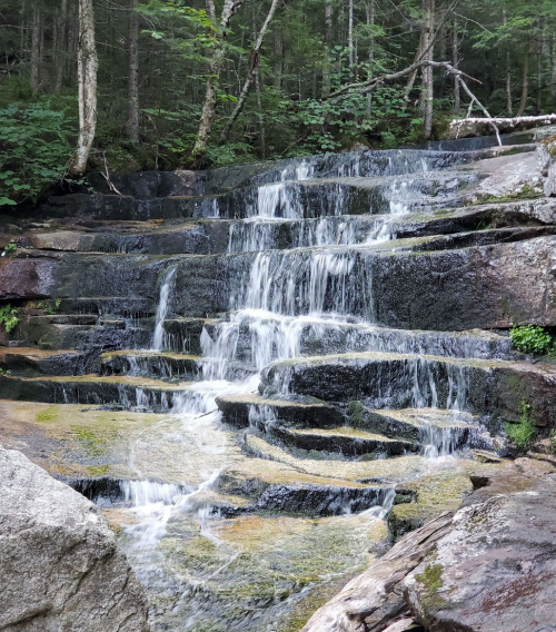 A serene waterfall cascading over rocky steps, surrounded by lush green trees and foliage.