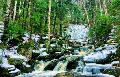 A serene forest scene with a waterfall cascading over rocks, surrounded by snow and lush green trees.
