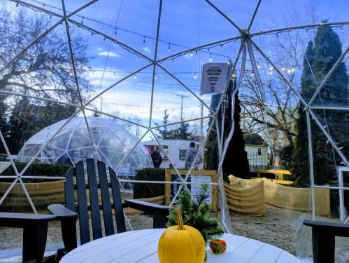 A cozy dome structure with a pumpkin on a table, surrounded by trees and string lights in a garden setting.