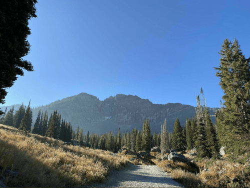 A gravel path leads through tall grass and trees, with a mountain peak under a clear blue sky in the background.