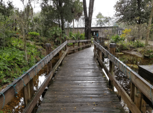 A wooden bridge leads through lush greenery to a rustic building in a serene outdoor setting.