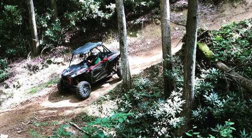 A black ATV navigating a dirt trail surrounded by trees and lush greenery.