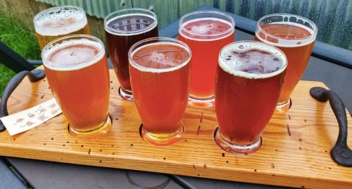A wooden flight board holds eight glasses of various craft beers in different colors, set outdoors on a table.
