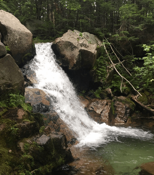 A serene waterfall cascading over rocks into a clear pool, surrounded by lush greenery and forest.