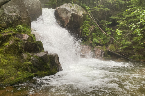 A cascading waterfall flows over rocks into a serene pool, surrounded by lush green foliage and trees.