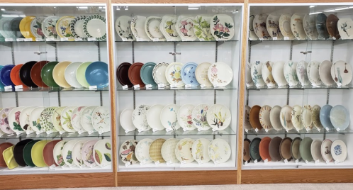 A display case filled with various decorative plates featuring floral and nature designs in multiple colors.