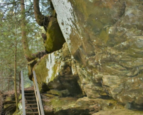 A wooden staircase leads up to a moss-covered rock formation in a lush forest setting.