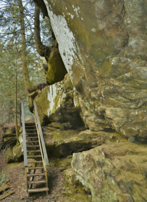 A wooden staircase leads up to a large rock formation in a forested area, surrounded by trees and mossy stones.