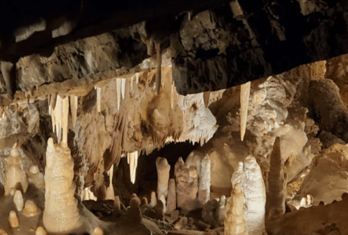 Stalactites and stalagmites in a dimly lit cave, showcasing intricate rock formations and textures.