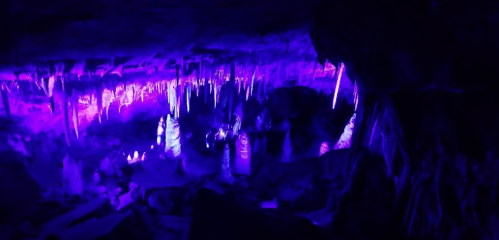 A vibrant cave interior illuminated with purple and blue lights, featuring stalactites and stalagmites.