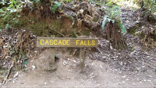 Wooden sign reading "Cascade Falls" on a dirt path surrounded by greenery and fallen leaves.