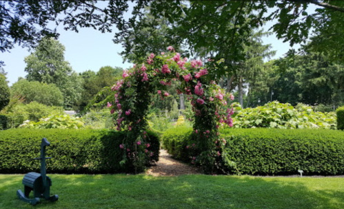 A lush garden with a floral archway, surrounded by green hedges and trees under a clear blue sky.