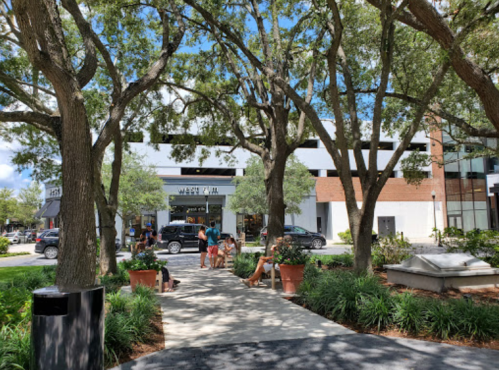 A sunny outdoor plaza with trees, people walking, and a modern building in the background.